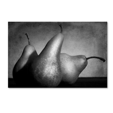 Trademark Fine Art Moises Levy 'Cayendo' Canvas Art, 12x19 ALI1101-C1219GG